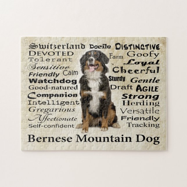 Puzzle de traits de Berner (Horizontal)