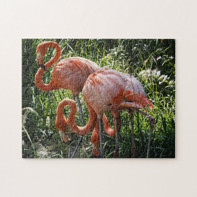 Puzzle de trois Flamants roses (Horizontal)