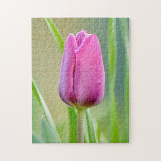 Puzzle de tulipe rose