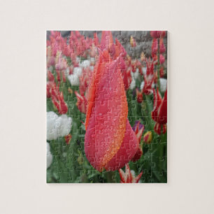 Puzzle de tulipes