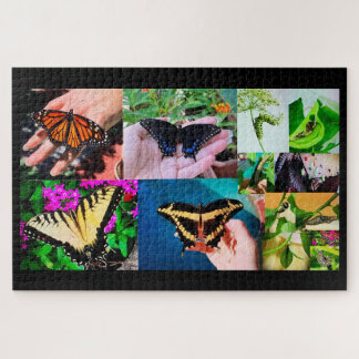 Puzzle de vie papillon