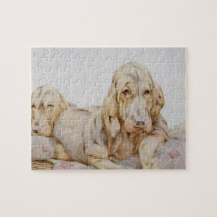 Puzzle De vieux chiens de sang mignons, chiots par EJ Det