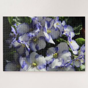puzzle de violet violet africain