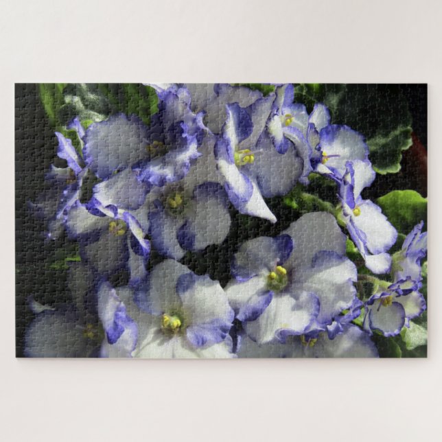 puzzle de violet violet africain (Horizontal)