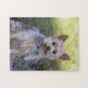 Puzzle de Yorkie