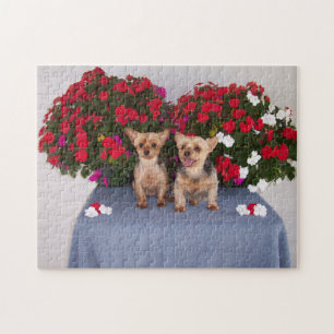 Puzzle de Yorkshire Terrier