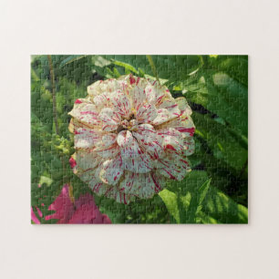 Puzzle de Zinnia