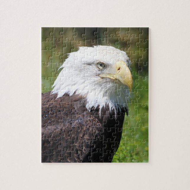 Puzzle d'Eagle (Vertical)