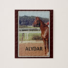 Défilé 1978 de courrier d'Alydar Belmont Stakes