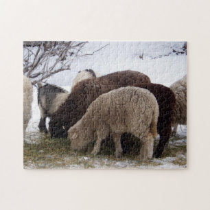 Puzzle Déjeuner d'hiver pour mouton