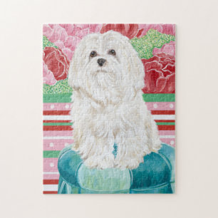 Puzzle Della Rose Maltese