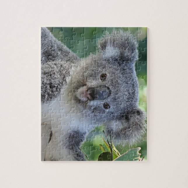 Puzzle denteux de koala mignon (Vertical)