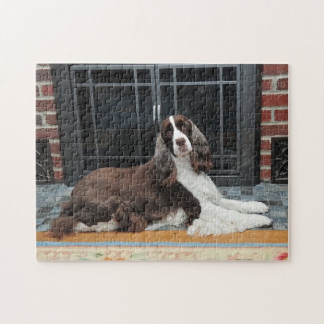 Puzzle d'épagneul de springer anglais (Horizontal)
