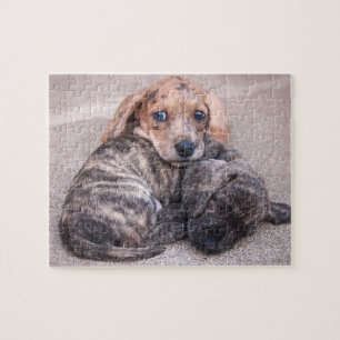 Puzzle d'épopée de teckels d'Eridox et de chiot de