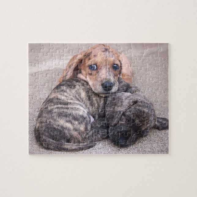 Puzzle d'épopée de teckels d'Eridox et de chiot de (Horizontal)