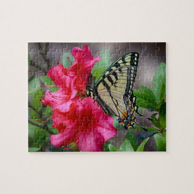 Puzzle Des Ailes De Merveilleuse (Horizontal)