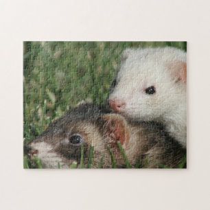 Puzzle Des amis furieux. Ferrets conviviaux Weasel