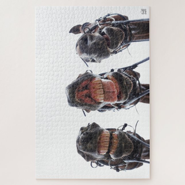 Puzzle Des chevaux dans la bouche. Trois chevaux sourient (Vertical)