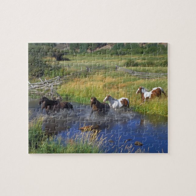 Puzzle des Chevaux sauvages (Horizontal)