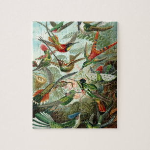 Puzzle des colibris
