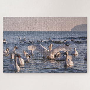 Puzzle des cygnes