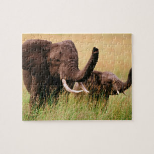 Puzzle des éléphants
