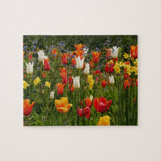 Puzzle des fleurs de printemps