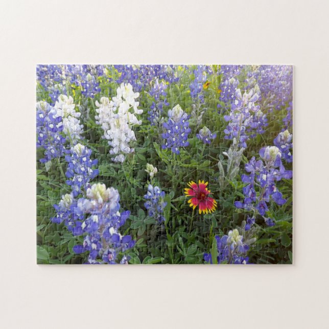 Puzzle des fleurs sauvages 10x14 du Texas (Horizontal)