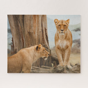 Puzzle Des lions scoutant dans les arbres morts