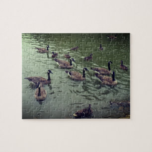 Puzzle des oies canadiennes et canards colverts