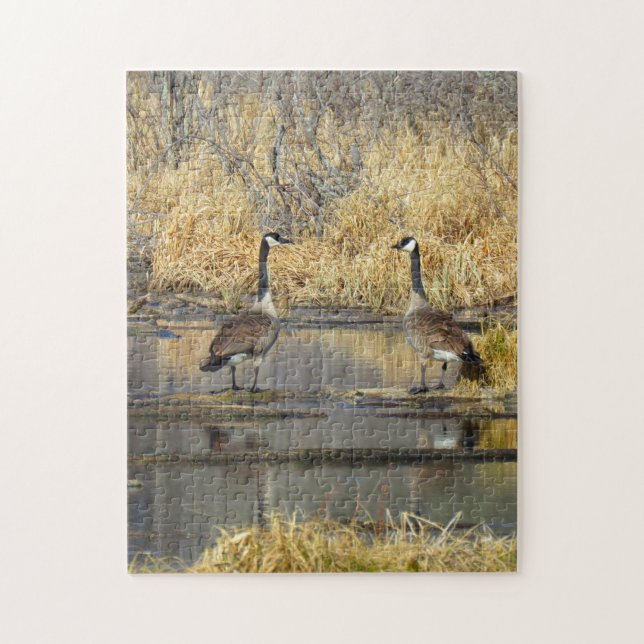 Puzzle des oies du Canada (Vertical)