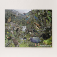 Puzzle des oiseaux de Nouvelle-Zélande