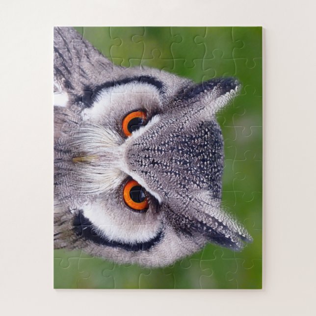 Puzzle des oiseaux de proie du sud de la Chouette  (Vertical)