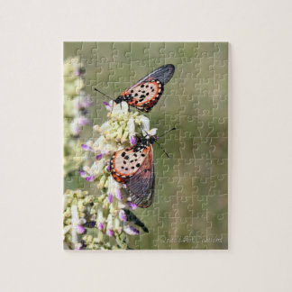 Puzzle Des Papillons Capturent Sur La Montagne Amajuba