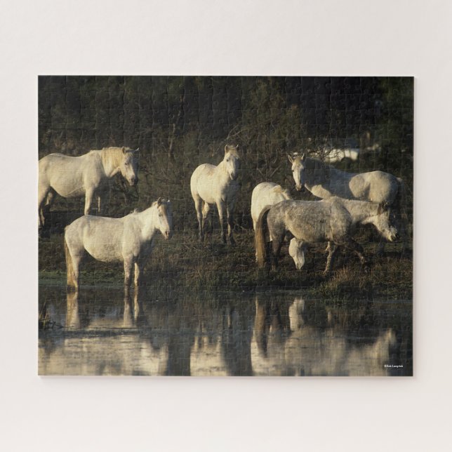 Puzzle Des Pies De Camargue En Herd Se Trouvant Dans L'Ea (Horizontal)