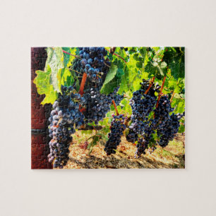 Puzzle des raisins de vigne