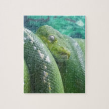 Puzzle des serpents de la forêt pluviale