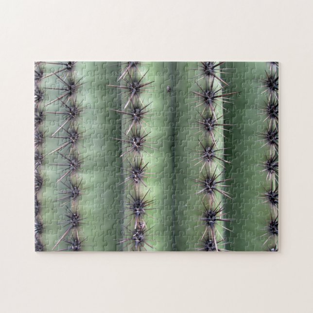 Puzzle Desert Cactus Arizona Green Succulent (Horizontal)