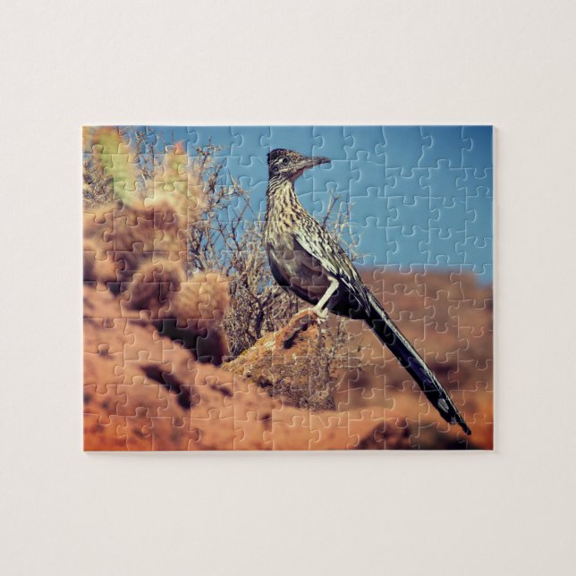 Puzzle Desert Roadrunner (Horizontal)