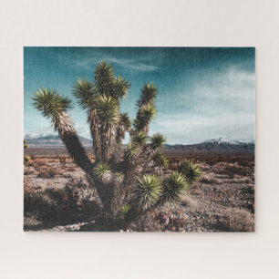 Puzzle Deserts   Cholla