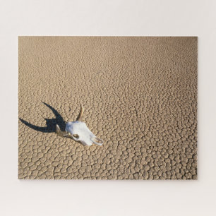 Puzzle Deserts   Cow Skull on the Desert Ground
