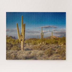 Puzzle Deserts   Superstition Mountains, Arizona