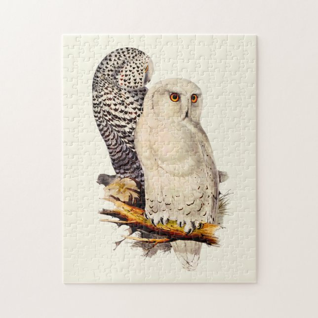 Puzzle Dessin de Chouette neige vintage (Vertical)