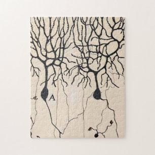 Puzzle Dessin De Neurone Vintage Par Santiago Ramón y Ca