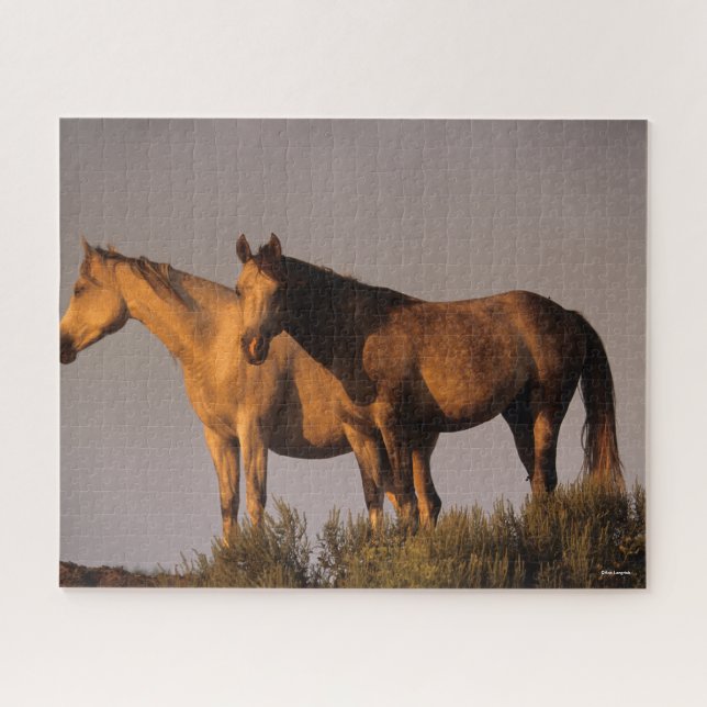 Puzzle Deux Arabes se rassemblent Le Soir Lumière (Horizontal)
