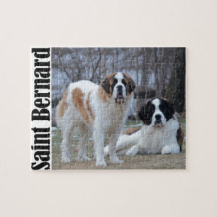 Puzzle Deux beaux Saint-Bernard