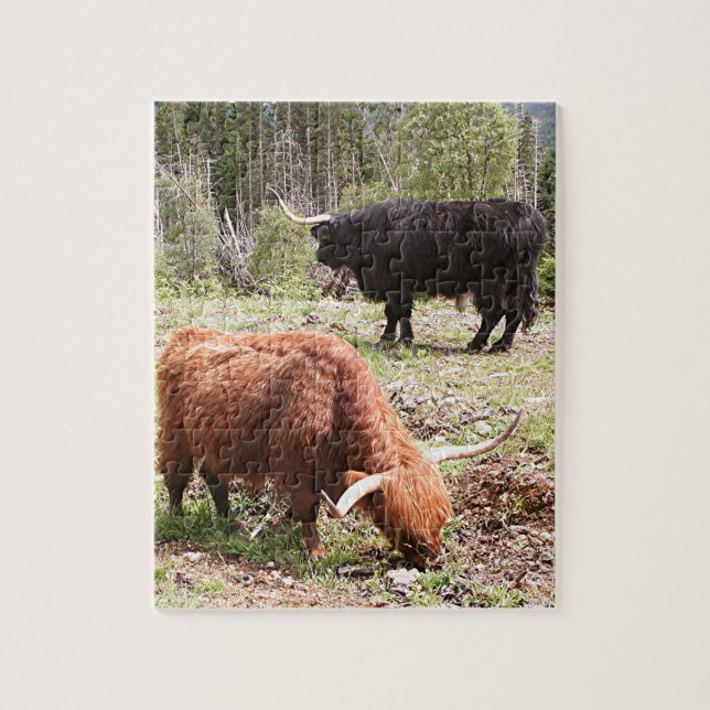 Puzzle Deux bétail des montagnes, Ecosse (Vertical)