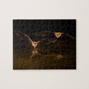 Puzzle Deux chauves-souris survolant l'eau, Arizona