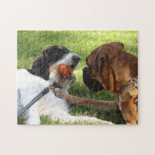 Puzzle deux chiens en jeu