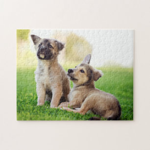 Puzzle Deux chiots bergers allemands